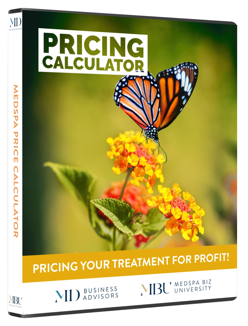 Medical Aesthetics Business Pricing Calculator